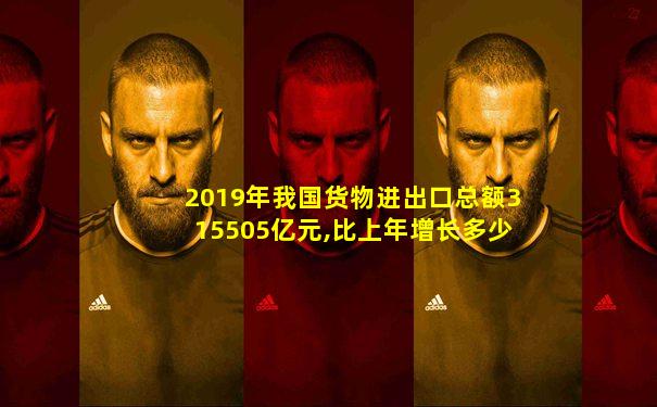 2019年我国货物进出口总额315505亿元,比上年增长多少