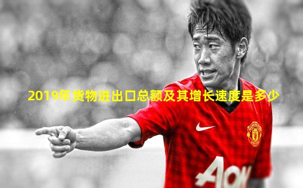 2019年货物进出口总额及其增长速度是多少