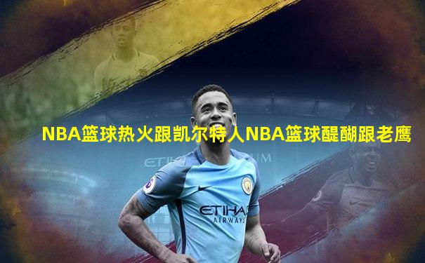 NBA篮球热火跟凯尔特人NBA篮球醍醐跟老鹰