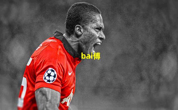 bai傅