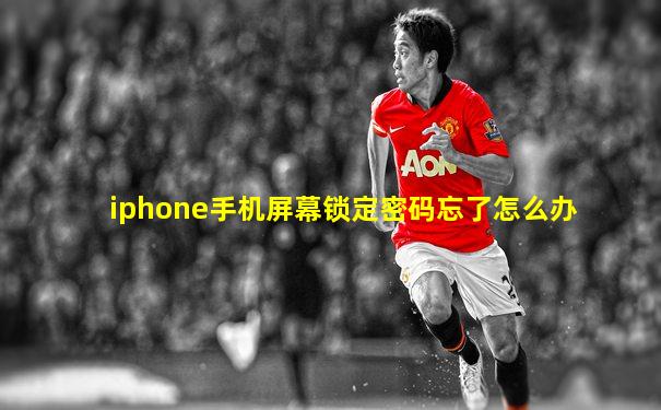 iphone手机屏幕锁定密码忘了怎么办