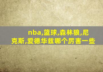 nba,篮球,森林狼,尼克斯,爱德华兹哪个厉害一些