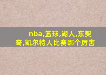 nba,篮球,湖人,东契奇,凯尔特人比赛哪个厉害