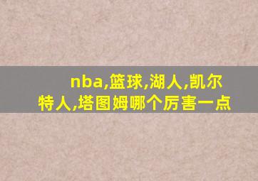 nba,篮球,湖人,凯尔特人,塔图姆哪个厉害一点