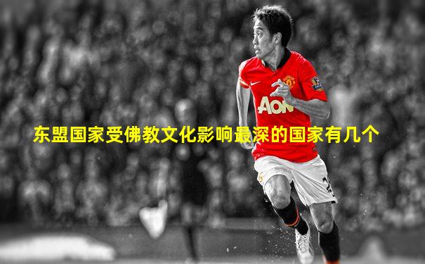 东盟国家受佛教文化影响最深的国家有几个