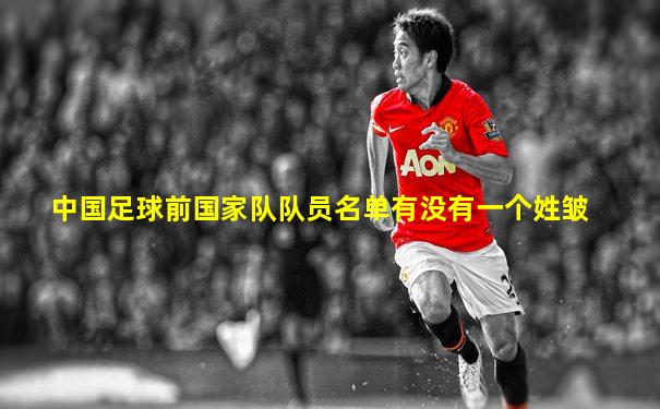 中国足球前国家队队员名单有没有一个姓皱
