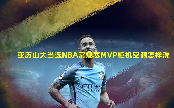 亚历山大当选NBA常规赛MVP柜机空调怎样洗