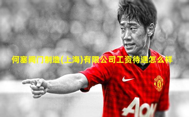 何塞阀门制造(上海)有限公司工资待遇怎么样