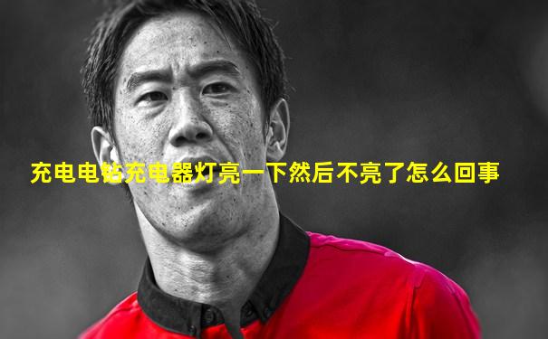 充电电钻充电器灯亮一下然后不亮了怎么回事