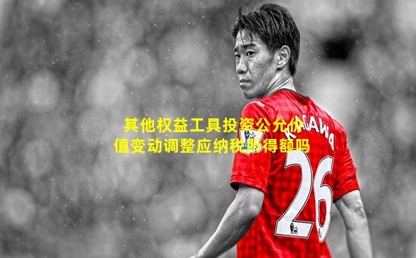 其他权益工具投资公允价值变动调整应纳税所得额吗