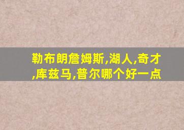 勒布朗詹姆斯,湖人,奇才,库兹马,普尔哪个好一点