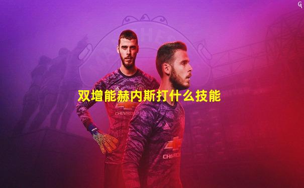 双增能赫内斯打什么技能