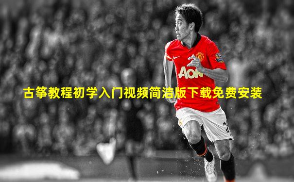 古筝教程初学入门视频简洁版下载免费安装