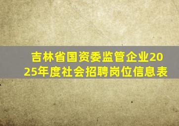 吉林省国资委监管企业2025年度社会招聘岗位信息表