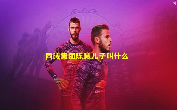 同曦集团陈曦儿子叫什么