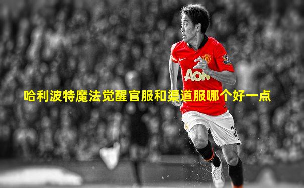 哈利波特魔法觉醒官服和渠道服哪个好一点