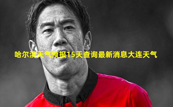 哈尔滨天气预报15天查询最新消息大连天气