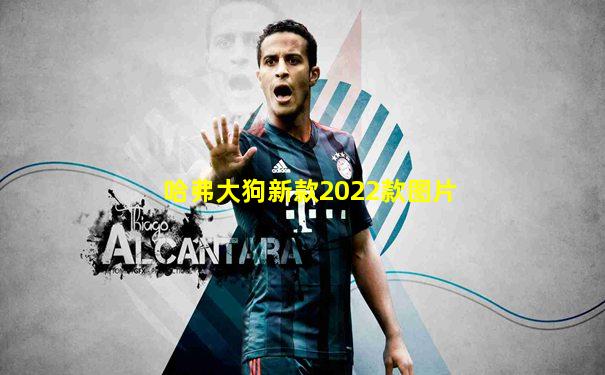 哈弗大狗新款2022款图片