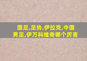 国足,足协,伊拉克,中国男足,伊万科维奇哪个厉害