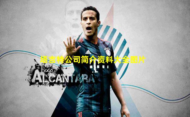 塔吉特公司简介资料大全图片