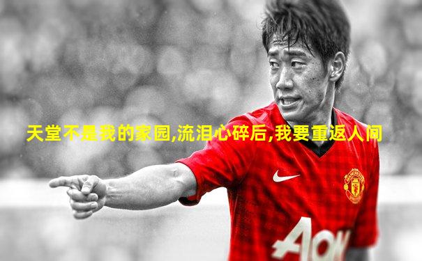 天堂不是我的家园,流泪心碎后,我要重返人间