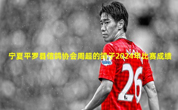宁夏平罗县信鸽协会周超的鸽子2024年比赛成绩