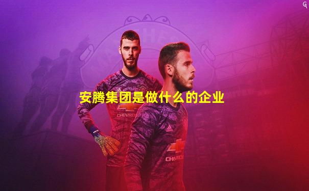 安腾集团是做什么的企业