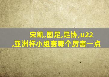 宋凯,国足,足协,u22,亚洲杯小组赛哪个厉害一点