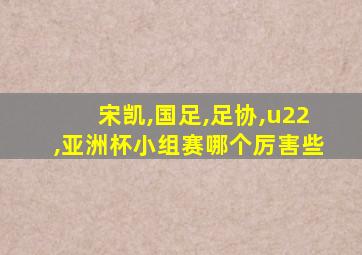 宋凯,国足,足协,u22,亚洲杯小组赛哪个厉害些