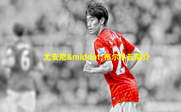尤安尼·布尔热瓦简介