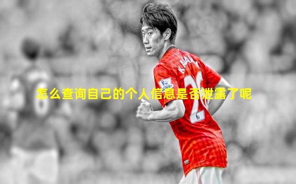 怎么查询自己的个人信息是否泄露了呢
