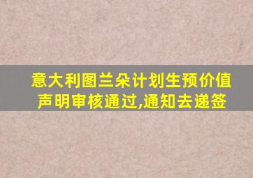 意大利图兰朵计划生预价值声明审核通过,通知去递签