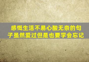 感慨生活不易心酸无奈的句子虽然爱过但是也要学会忘记