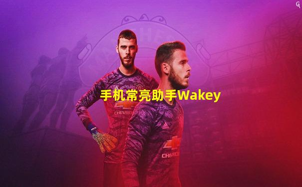 手机常亮助手Wakey
