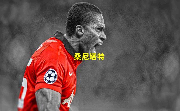 桑尼塔特