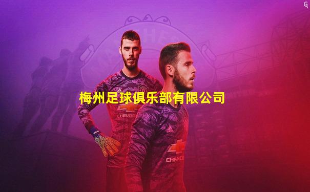 梅州足球俱乐部有限公司