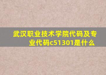 武汉职业技术学院代码及专业代码c51301是什么