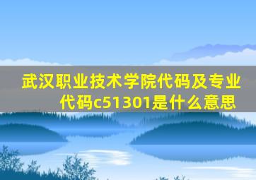 武汉职业技术学院代码及专业代码c51301是什么意思