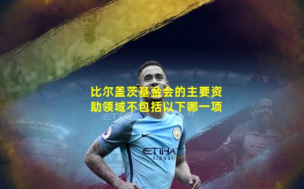 比尔盖茨基金会的主要资助领域不包括以下哪一项