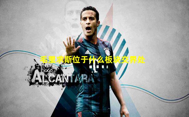 毛里求斯位于什么板块交界处