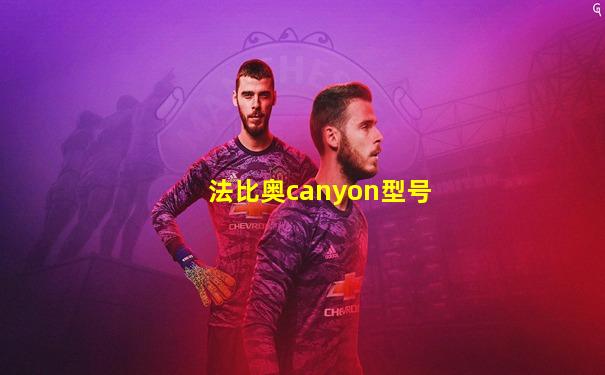法比奥canyon型号