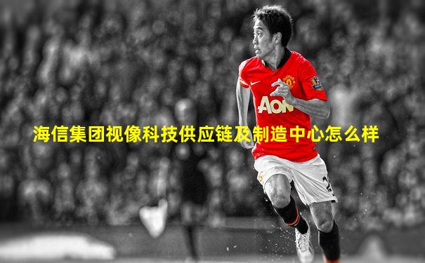 海信集团视像科技供应链及制造中心怎么样