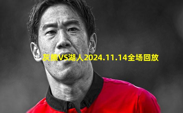 灰熊VS湖人2024.11.14全场回放