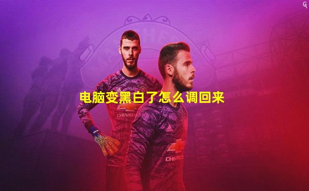 电脑变黑白了怎么调回来