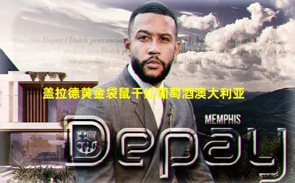 盖拉德黄金袋鼠干红葡萄酒澳大利亚