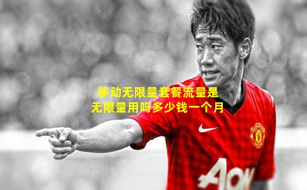 移动无限量套餐流量是无限量用吗多少钱一个月