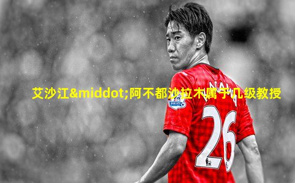 艾沙江·阿不都沙拉木属于几级教授
