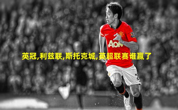 英冠,利兹联,斯托克城,英超联赛谁赢了