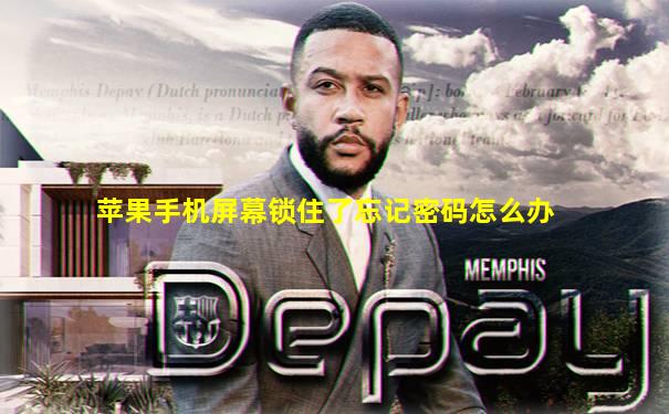 苹果手机屏幕锁住了忘记密码怎么办