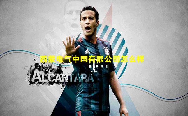 西蒙电气中国有限公司怎么样